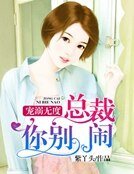 宠溺无度，总裁你别闹